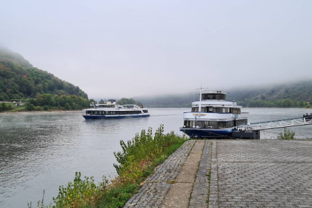 Boat tour in Rhine Valley - Team 1