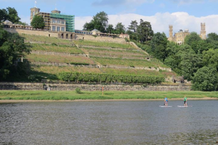 Stand-up paddleboarding in Dresden - Team 1