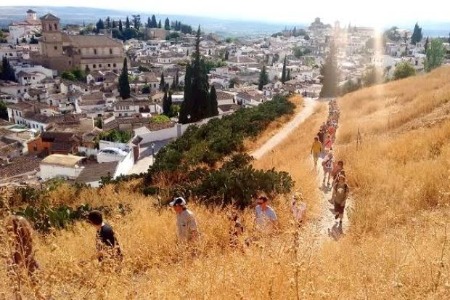 Walking tour in Granada - Team 2