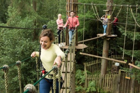 Tree top adventure in Yorkshire - Team 2