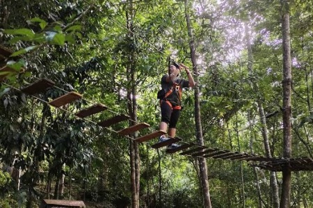 Tree top adventure in Langkawi - Team 2