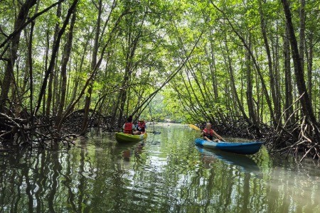 Kayaking in Krabi - Team 2