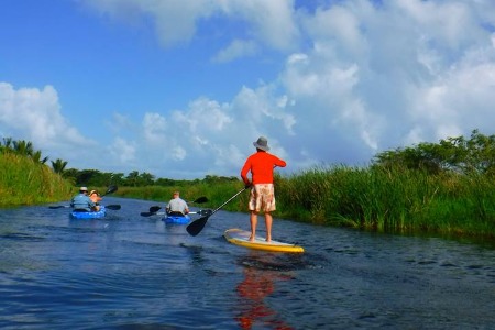 Stand-up  paddleboarding in Cabarete - Team 3
