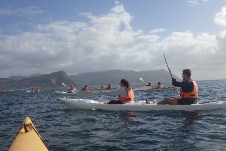 Kayaking in Cape Town - Team 3