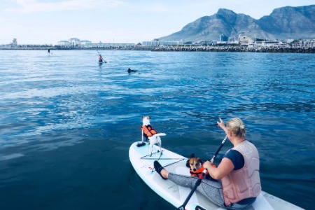 Stand-up paddleboarding in Cape Town - Team 2