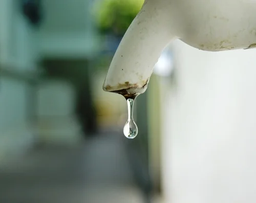 TREADING WELL: Water Bouyant Despite Virus