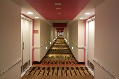 OUTBREAK HOTEL – Legionnaires' Disease Hits Atlanta Sheraton