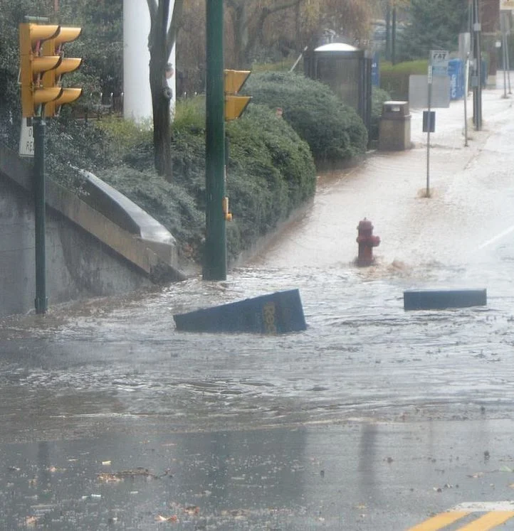 RAW DEAL: Sewer Overflows Promote Disease