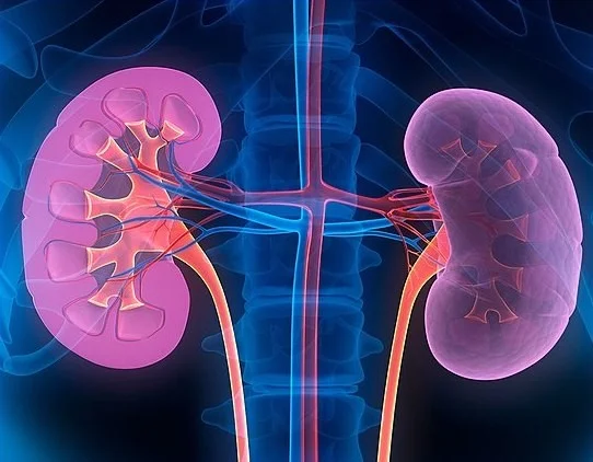 CLEAN LIVING: Critical Dialysis Pre-Treatment