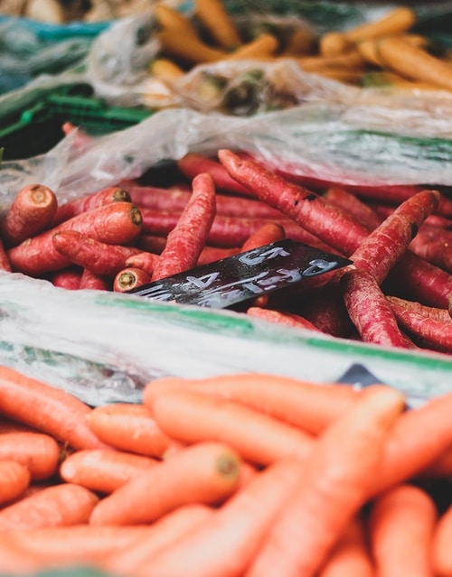 Die richtige Ernährung