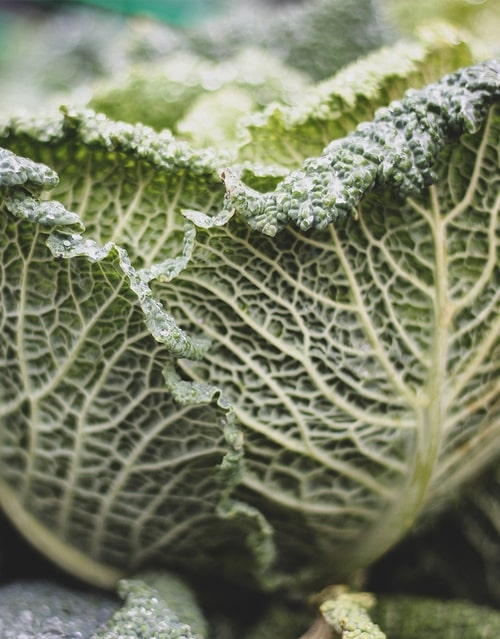 Ausgewogene Ernährung