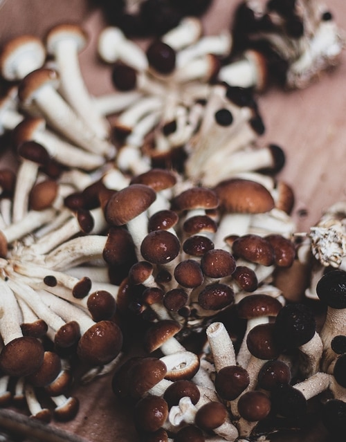 Persönliche Ernährungsberatung