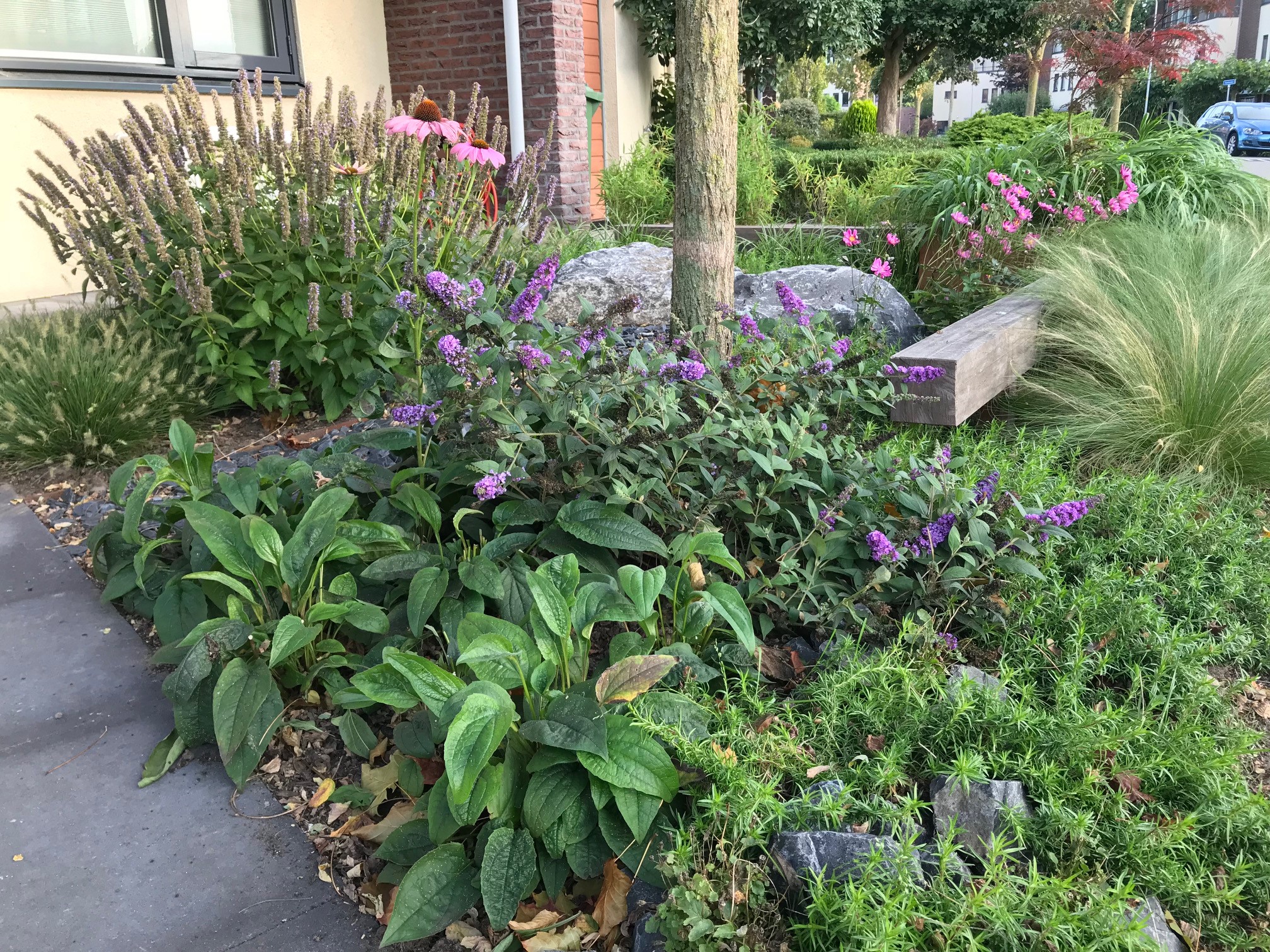 levende tuin satter