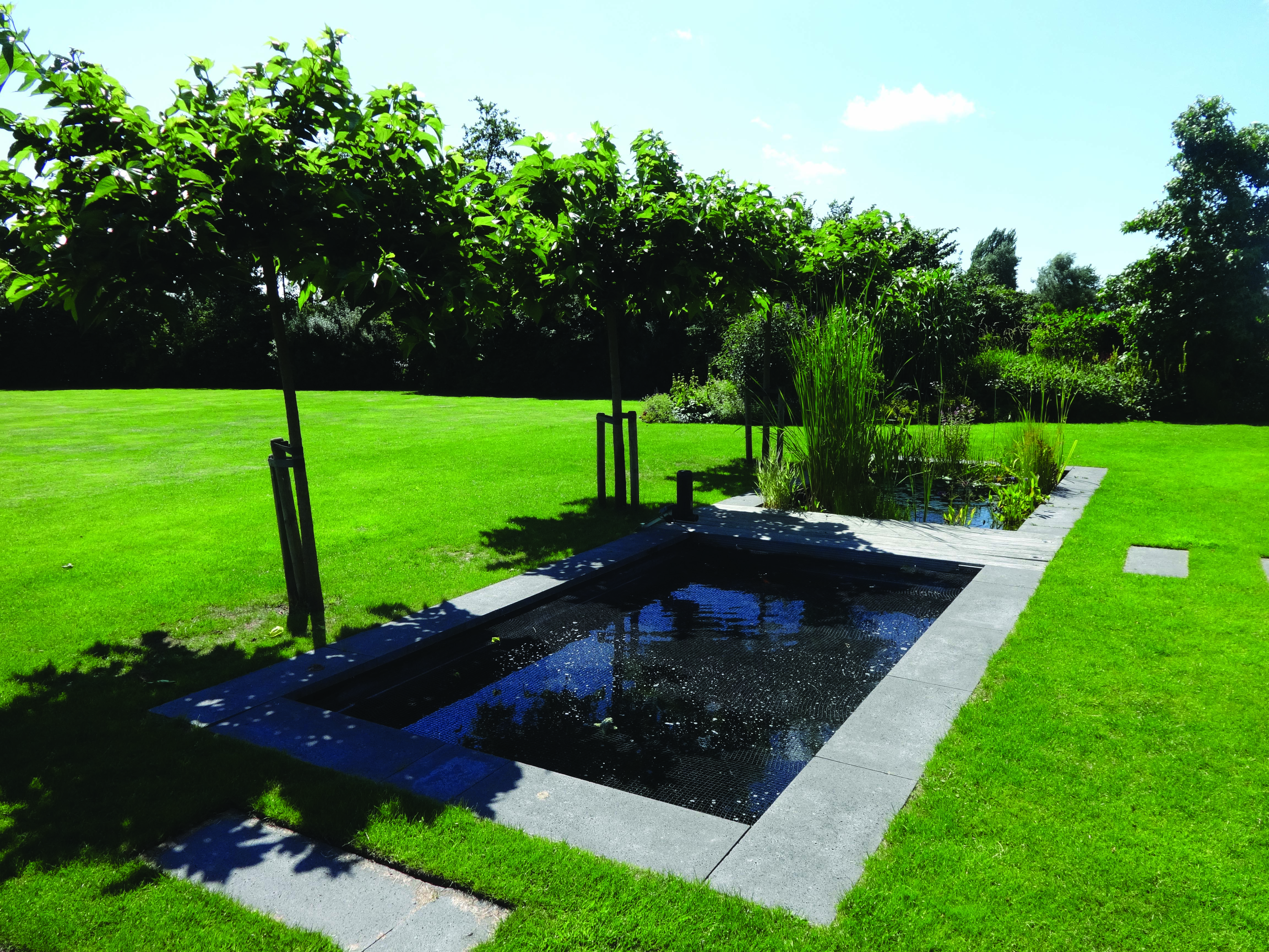 koivijvers vijvers vijveraanleg satter