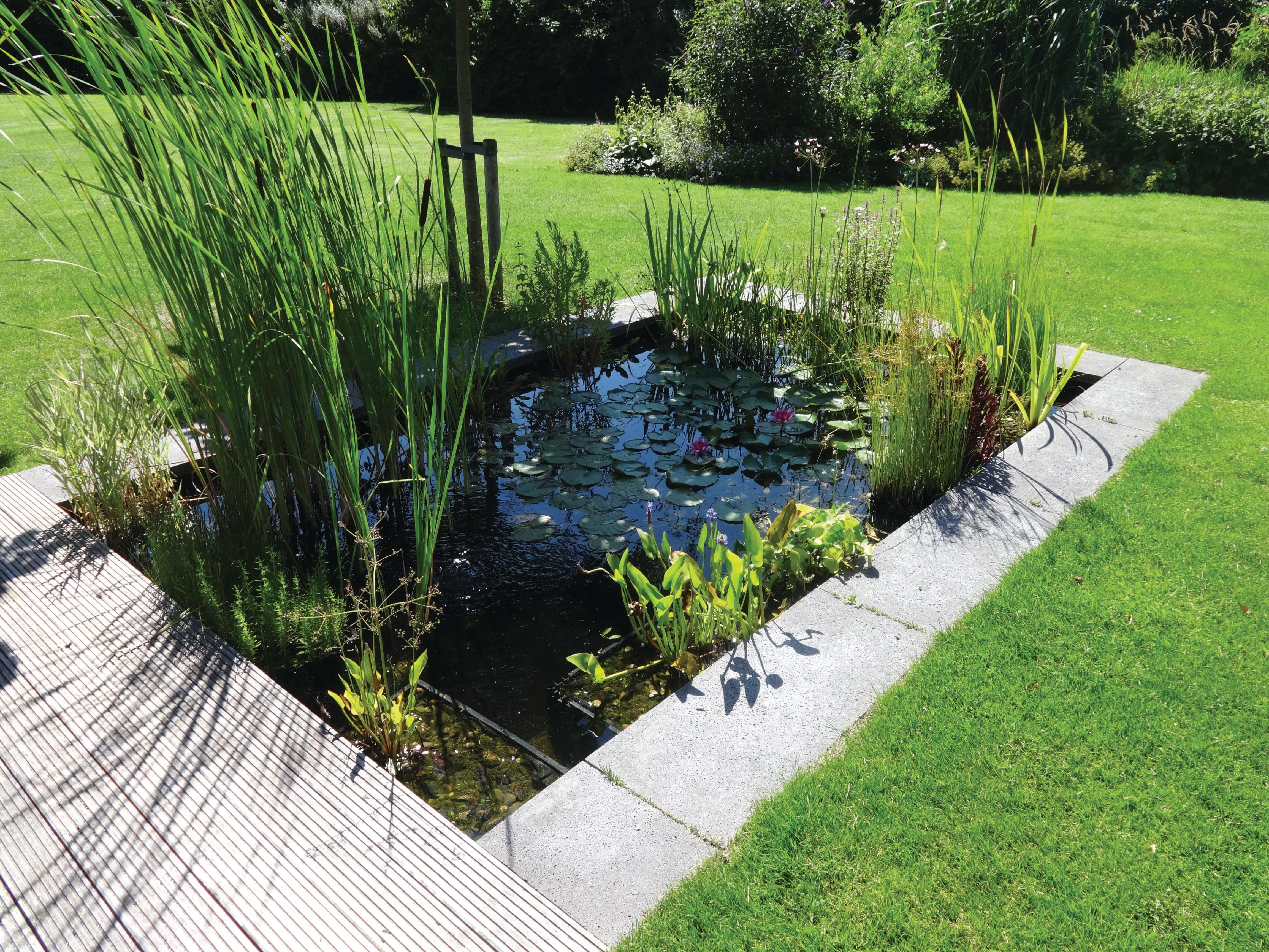 tuinaanleg vijvers satter vijveraanleg