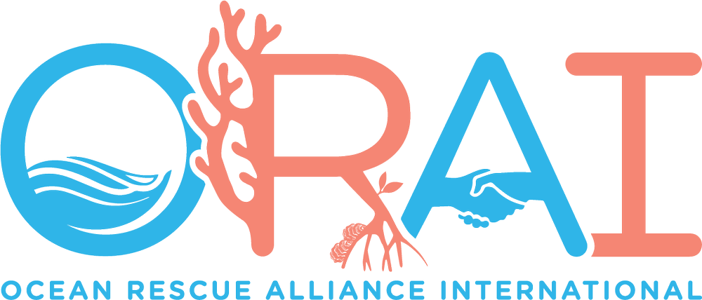 Ocean Rescue Alliance International