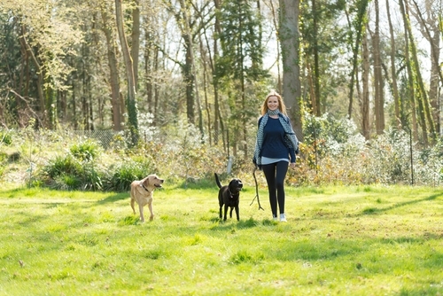 Elizabeth hammond walking her dog