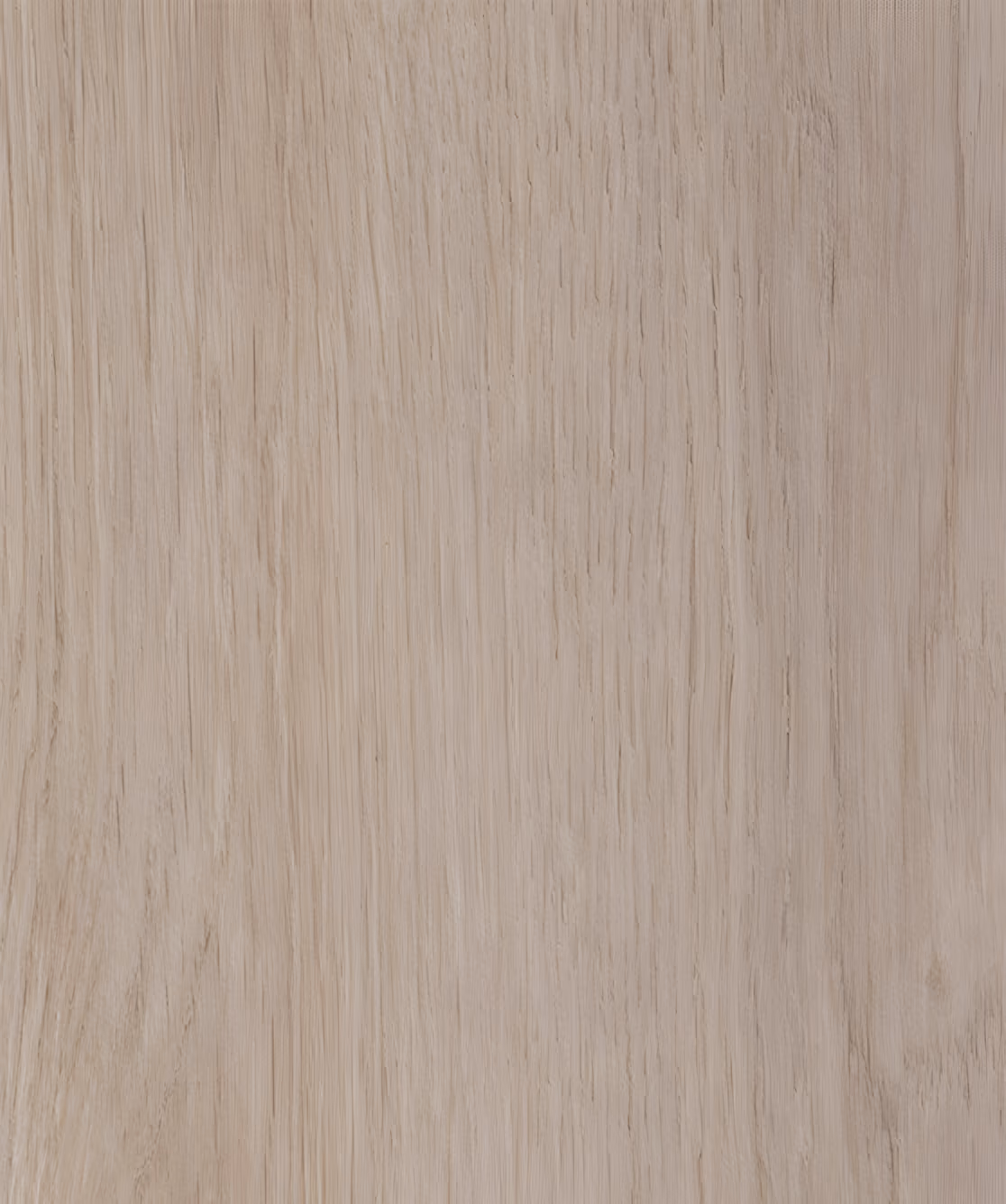Belgian Oak