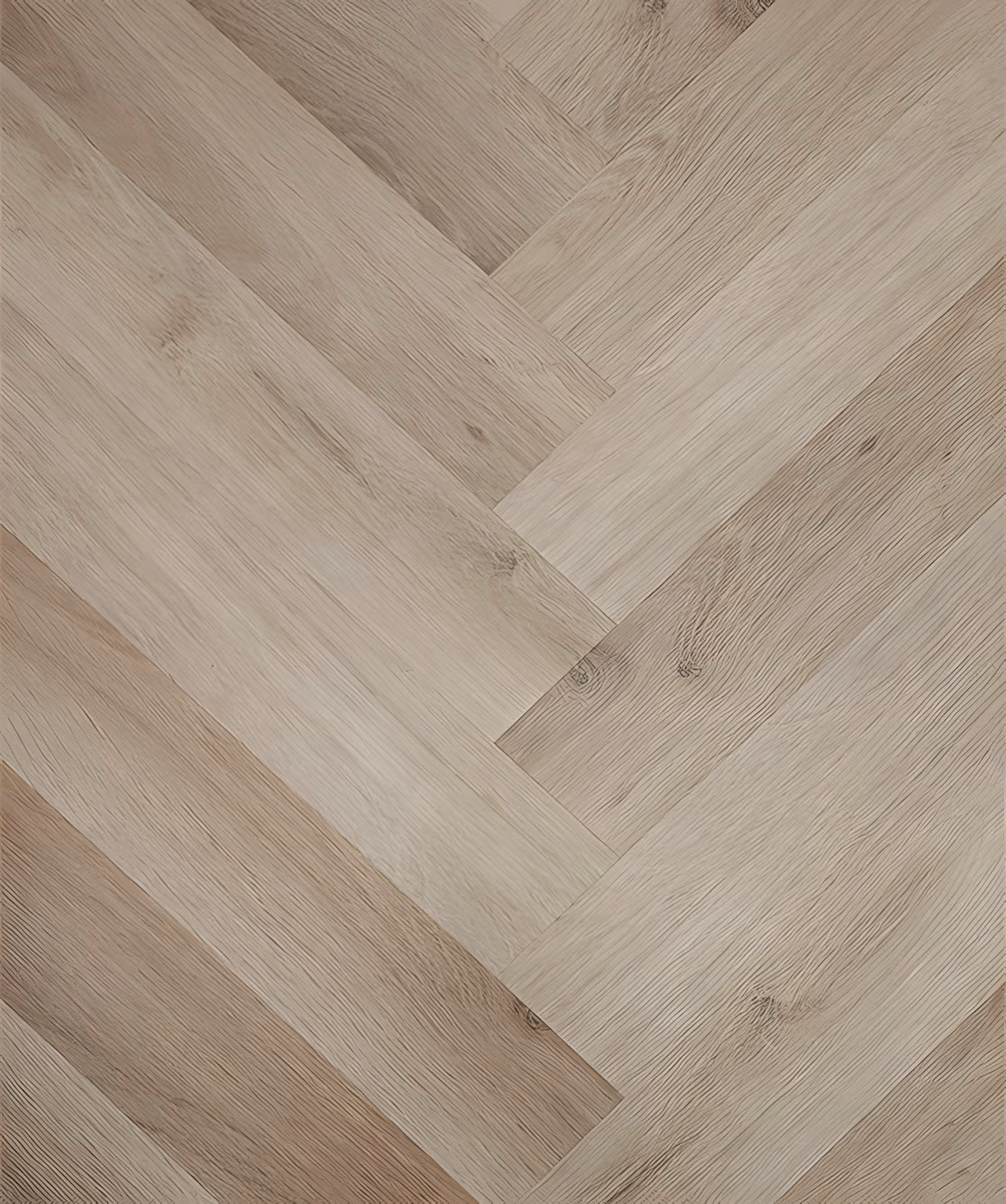 European Oak