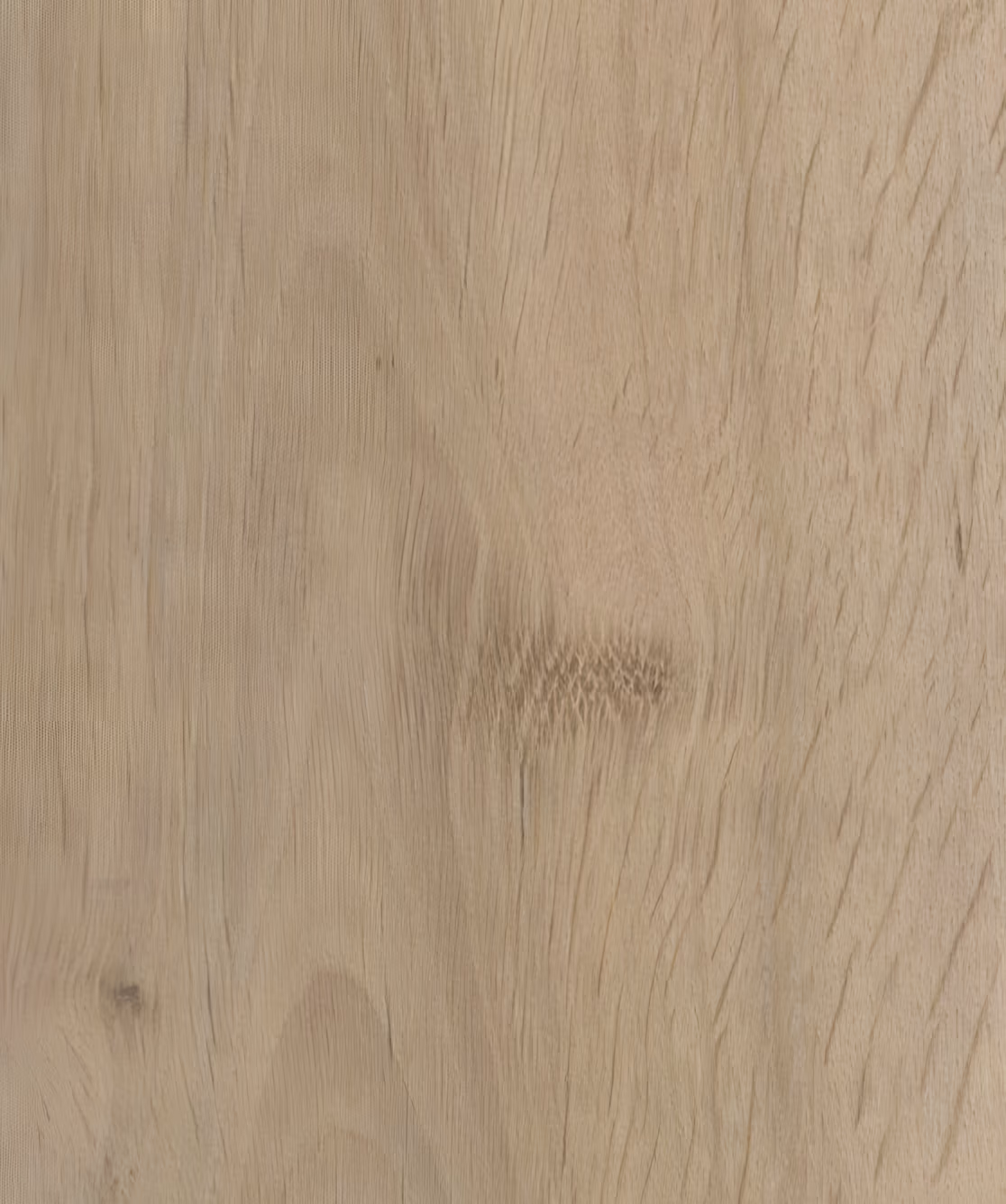 European Oak
