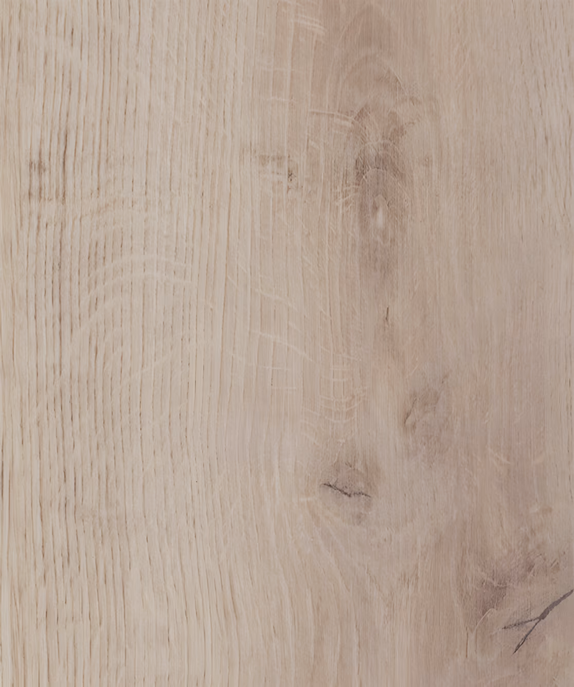 Moroccan Oak