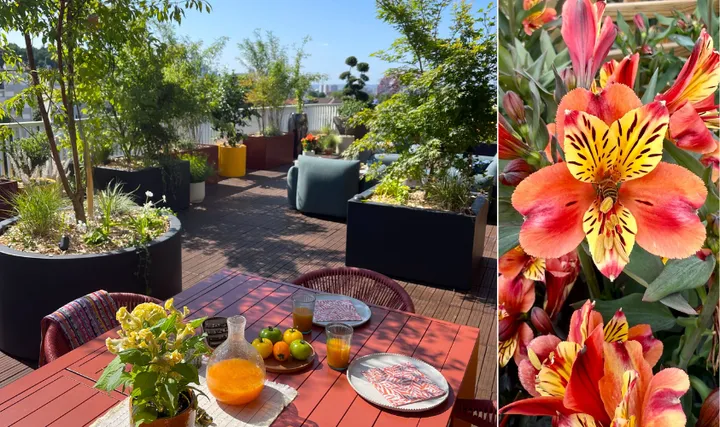 une jolie terrasse végétalisée