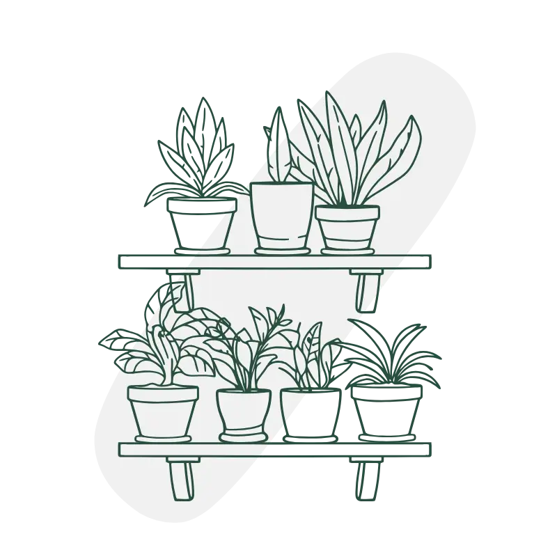 Plantes en pots