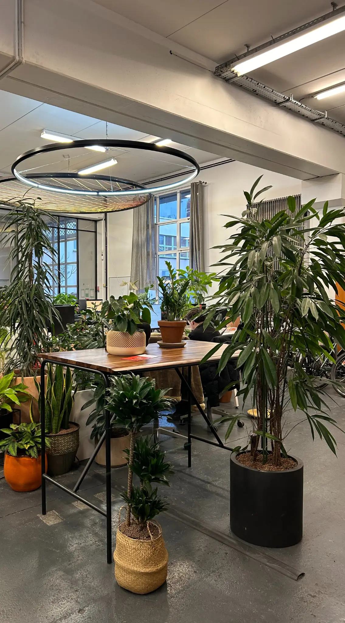 Bureaux végétalisés