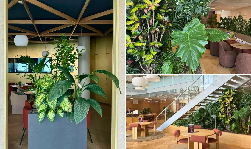 végétalisation intérieur
