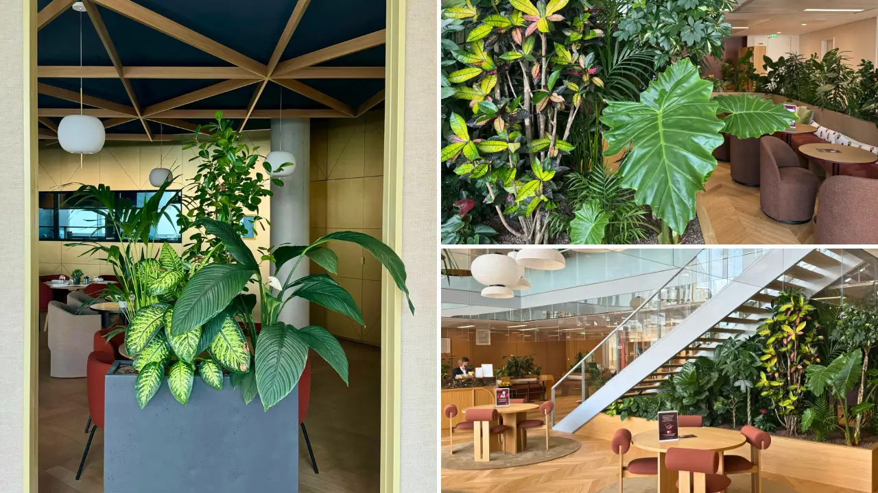 végétalisation intérieur