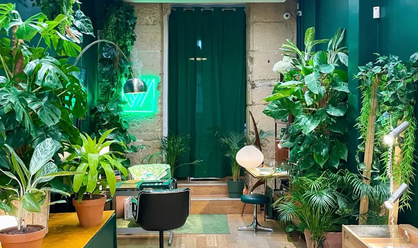 végétalisation intérieur