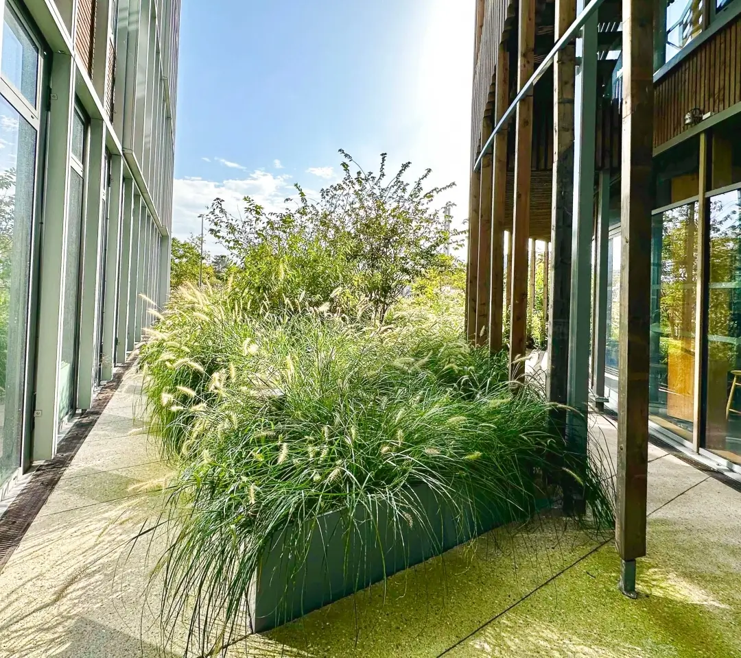 un jardin
