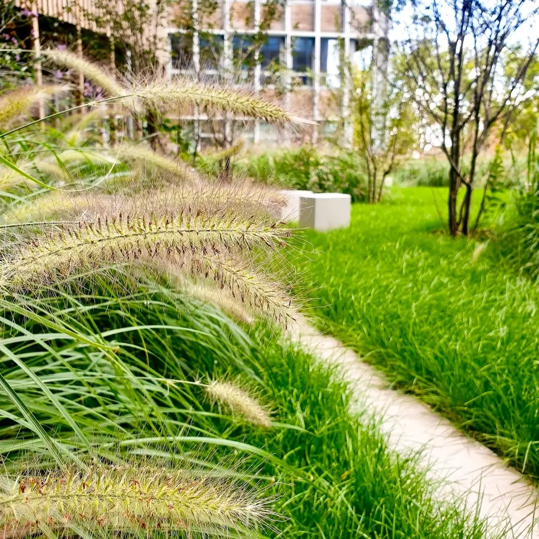 un jardin
