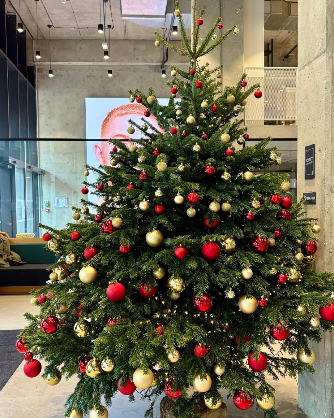 Sapin de Noël Nordmann décoré or et rouge dans le hall d'une entreprise