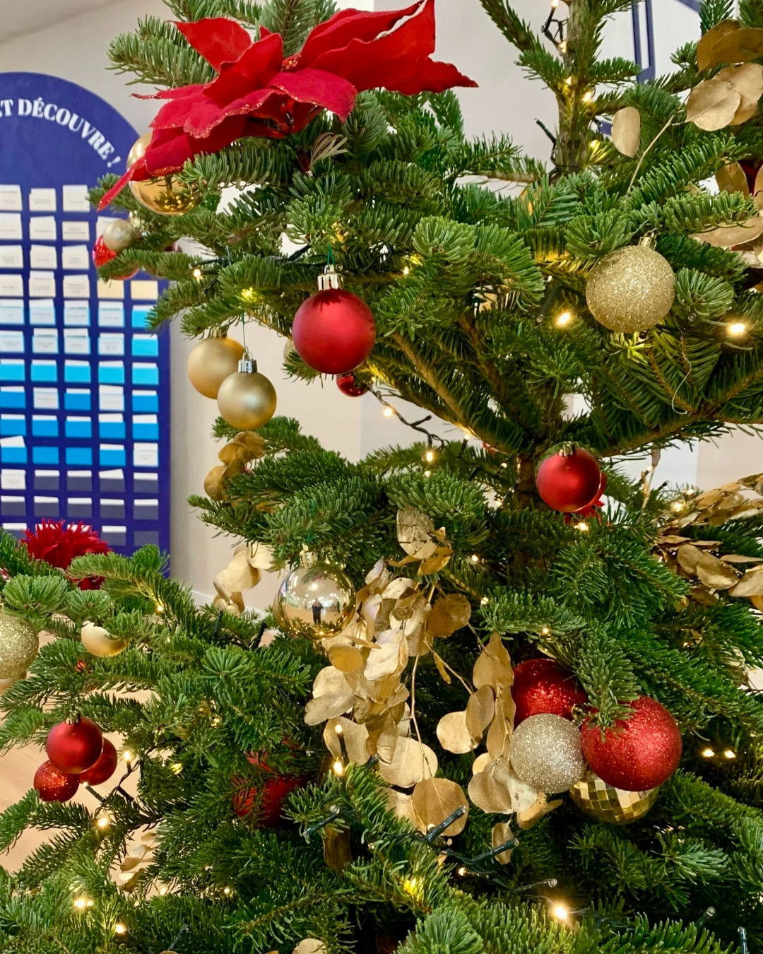 Détail de décoration de sapin de Noël : ornements dorés, boules rouges et poinsettia