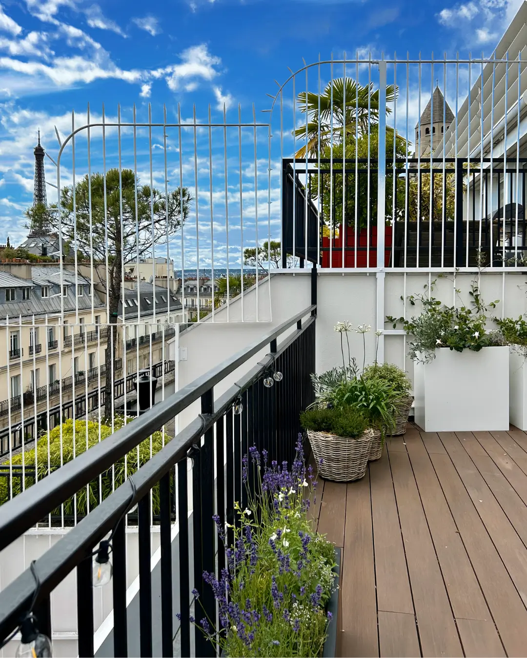 terrasse végétalisée sur paris