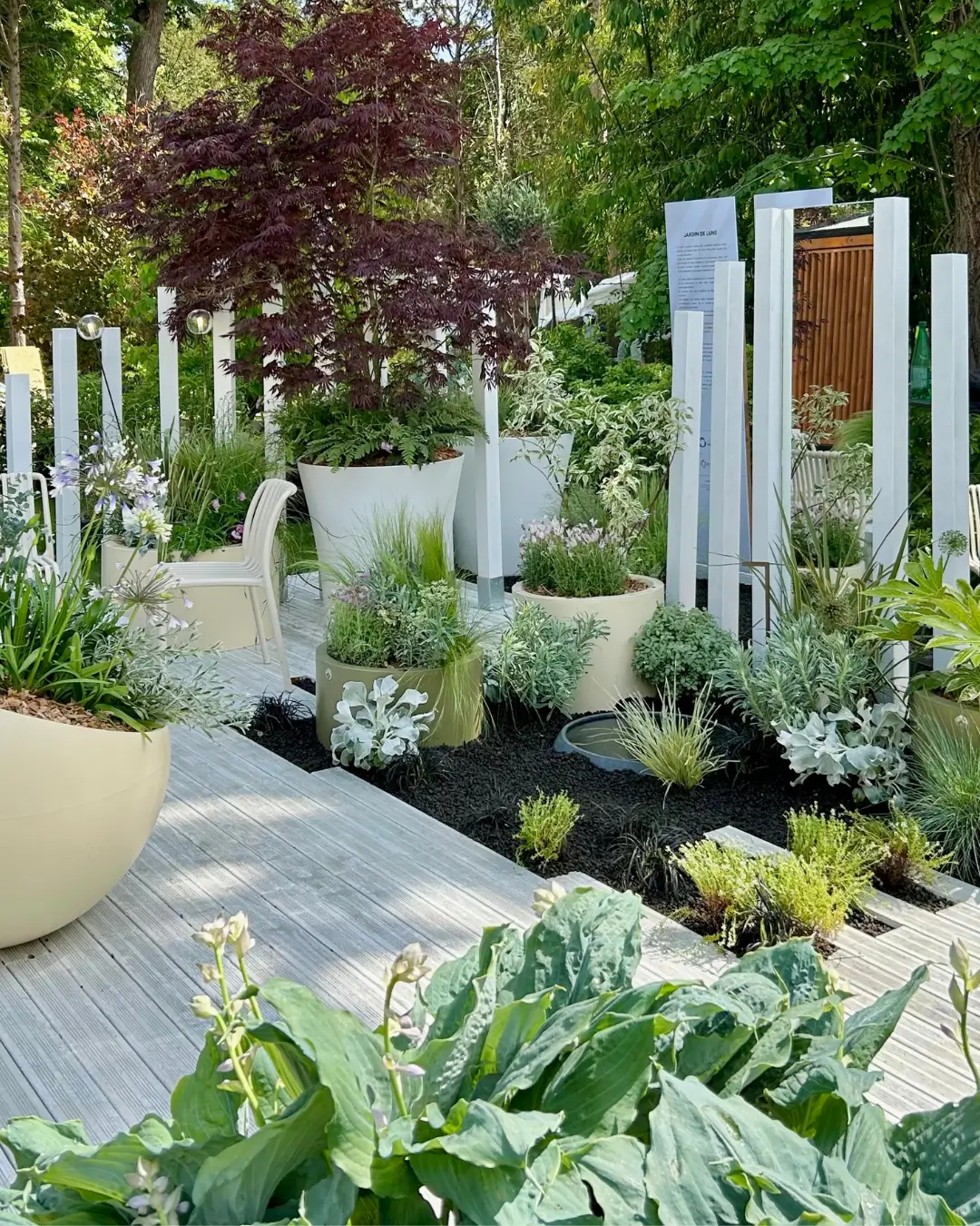 jardin de lune