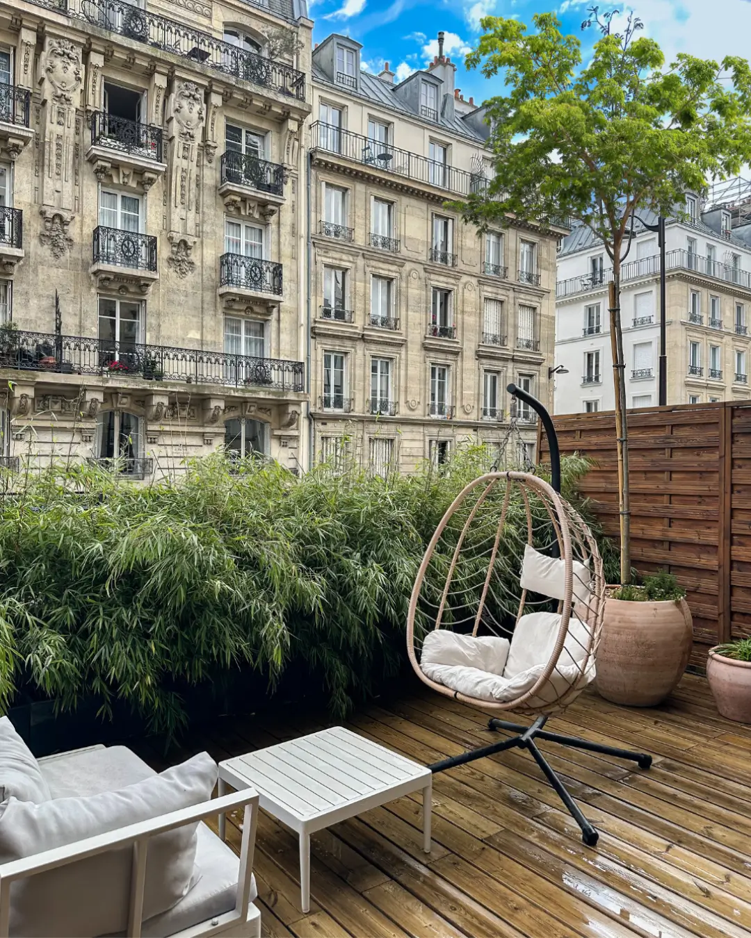 Terrasse parisienne végétalisée