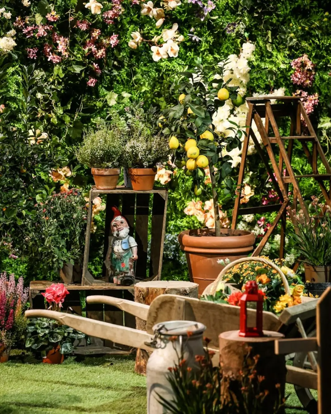 Art végétal pour le plateau télé top chef