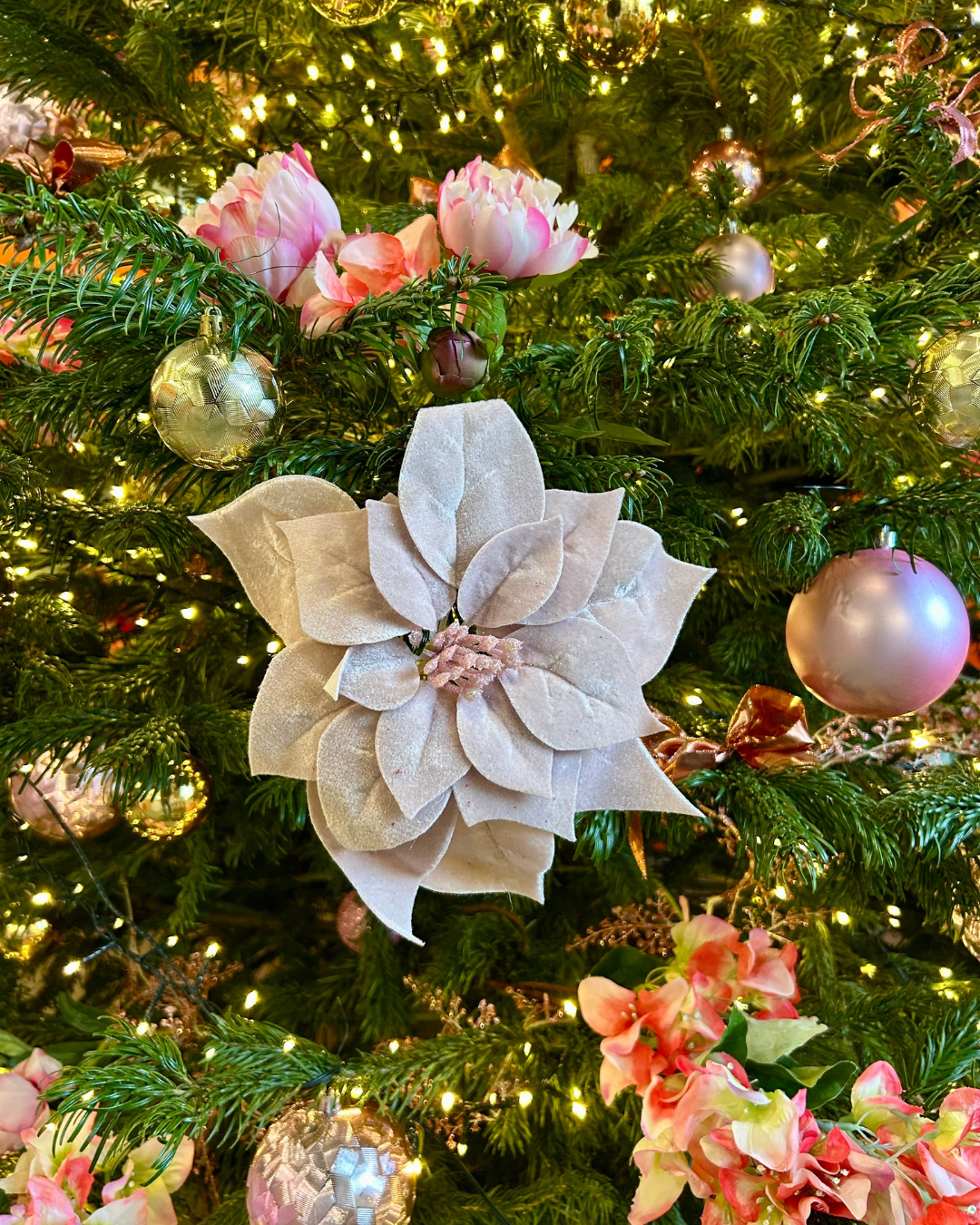 fleur posée sur un sapin