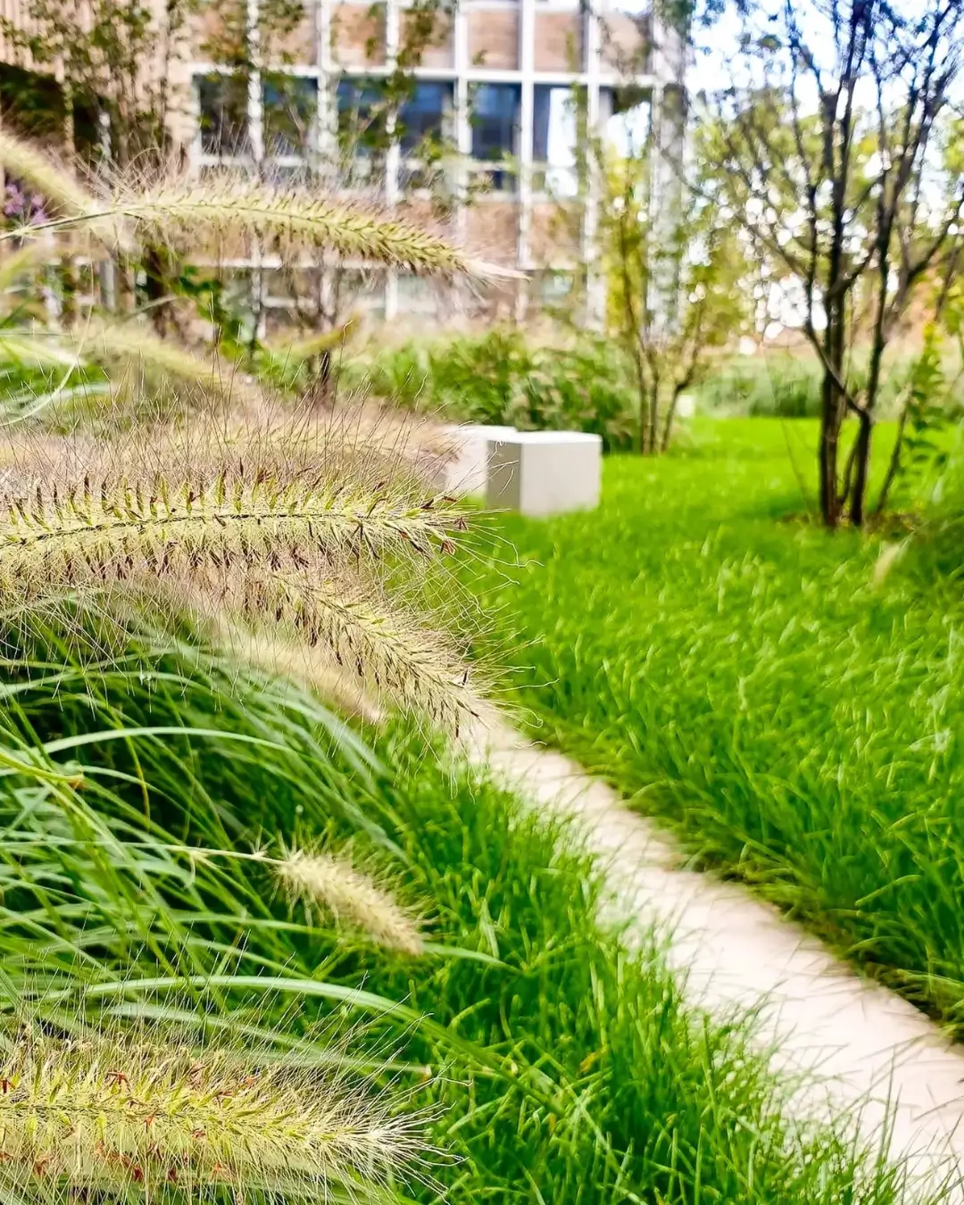 jardin
