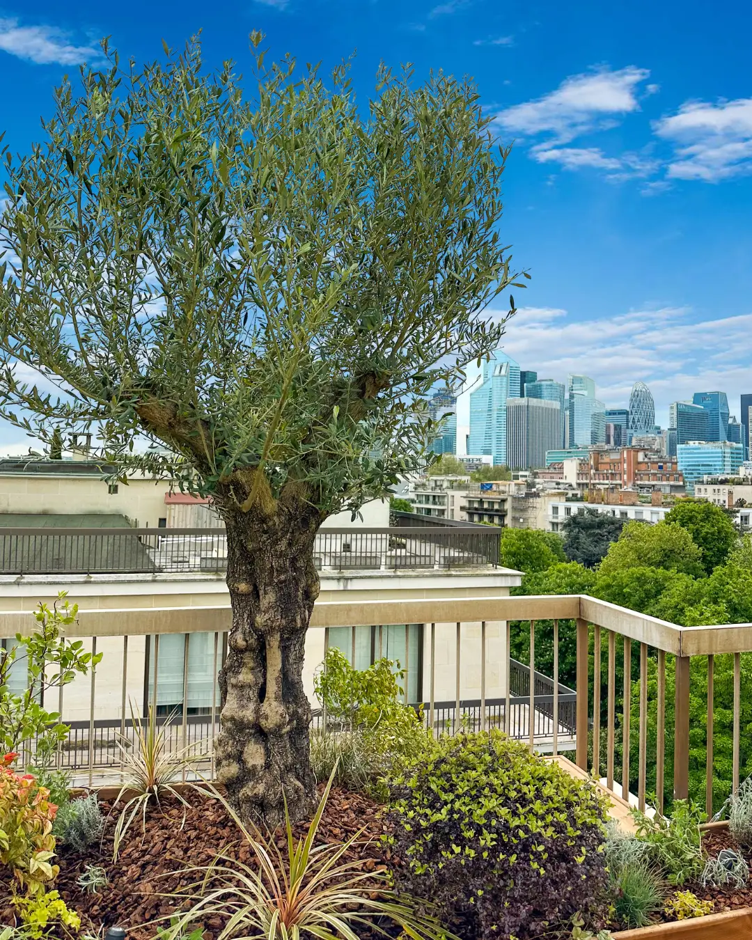Terrasse végétalisé