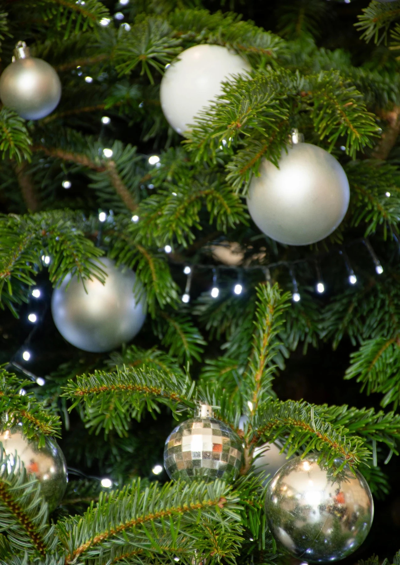 Détail d'un sapin de Noël : boules blanches et argentées sous une guirlande lumineuse