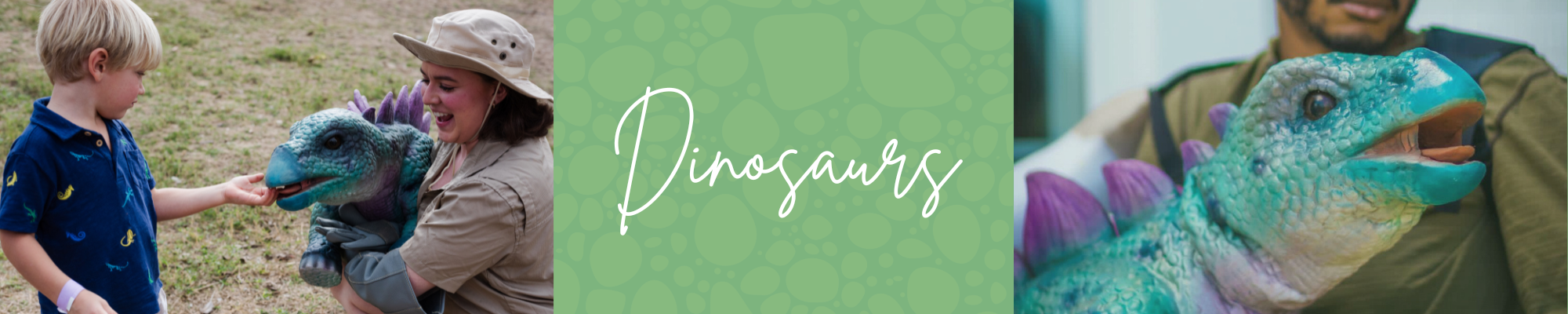 Left: Child feeding a blue and purple dinosaur puppet held by a person wearing a safari hat; center: green background with white cursive text saying 'Dinosaurs'; right: close-up of a blue and purple dinosaur puppet with a person in the background.