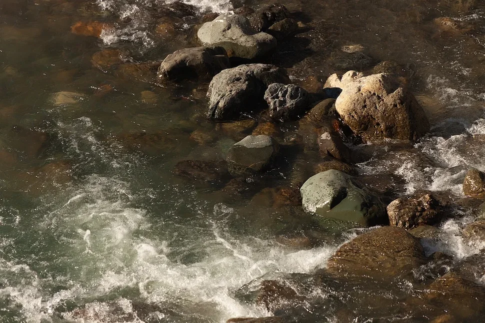 Living Near Polluted Missouri Creek as a Child Tied to Later Cancer Risk