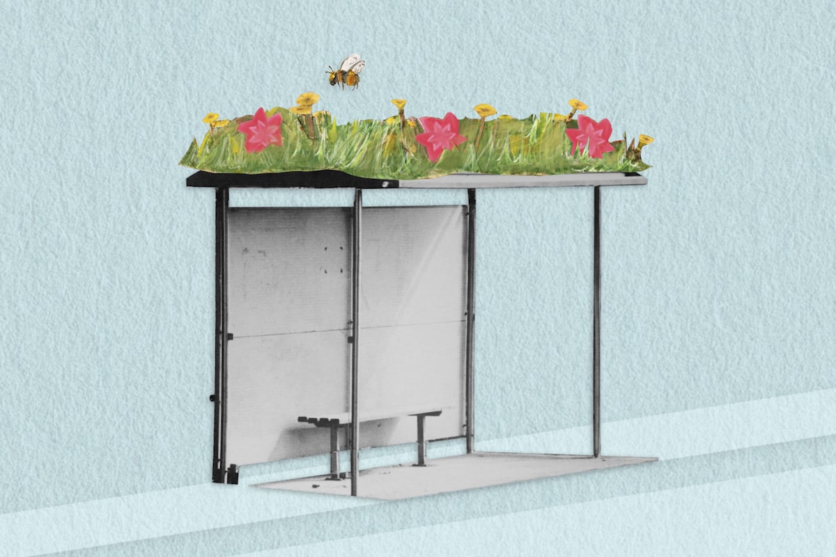 At the bus stop, a living ad for nature