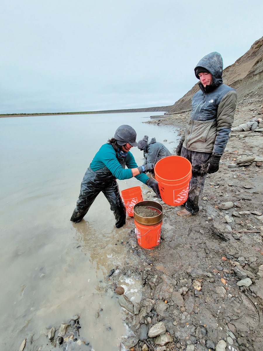 Researchers excavate a fossil site along the Colville River in northern Alaska.