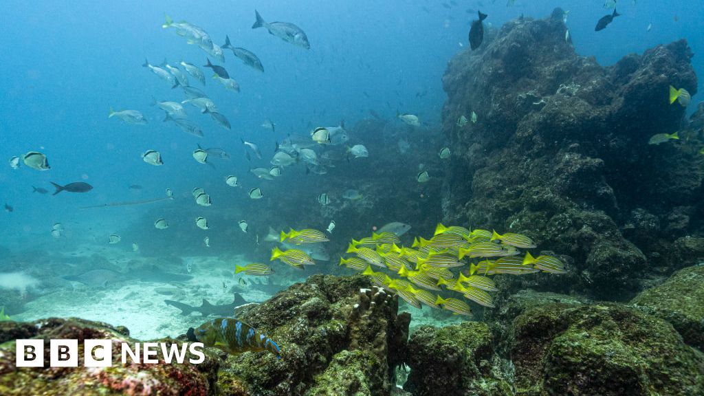 Key oceans treaty crosses threshold to come into force