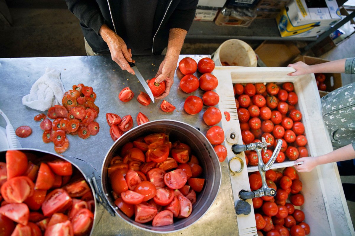 Prepping late-season tomatoes for canning at Glade Hill Cannery. (Photo credit: Rinne Allen)