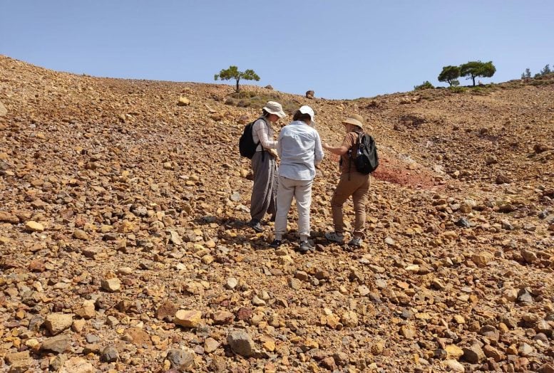 Göknur, Kadriye, and Hande Conducting Field Survey on Rocky Slope